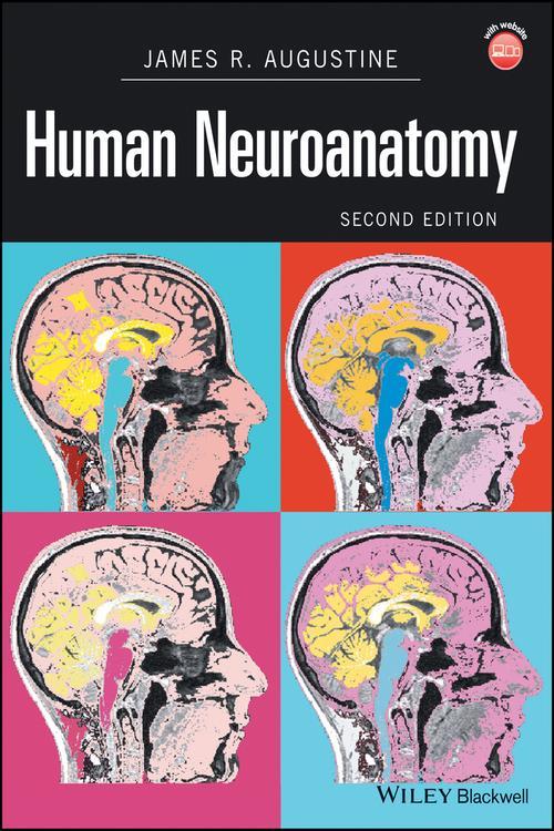 [pdf] Human Neuroanatomy By James R Augustine Ebook Perlego